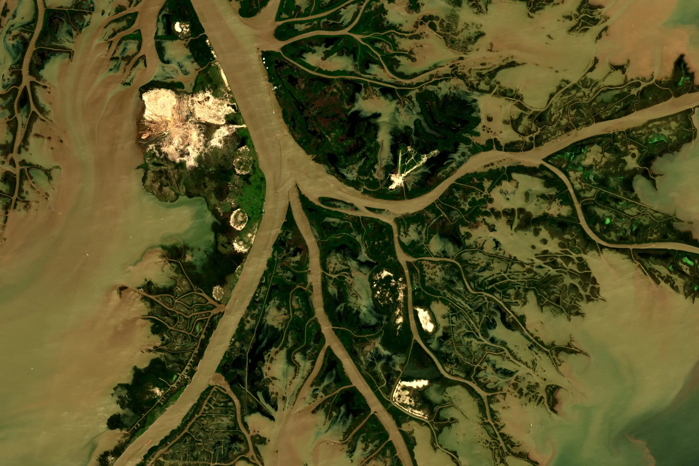 Satellite view of the Mississippi River delta in Louisiana, with brown water branching through wetlands